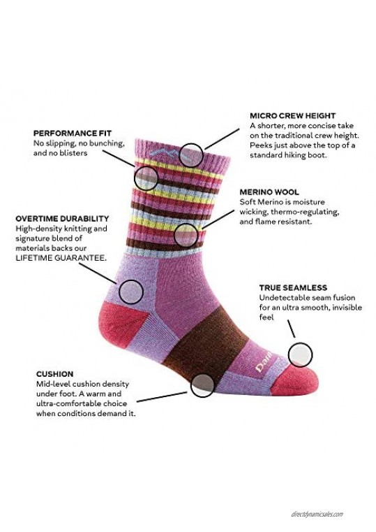 Darn Tough Hike/Trek Micro Cushion Stripe Crew Socks - Women's